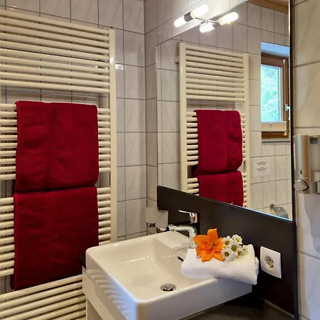 Alpenpension Gastein バードガシュタイン