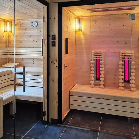 招待所 Alpenpension Gastein