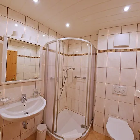 Alpenpension Gastein 招待所 巴德加斯坦