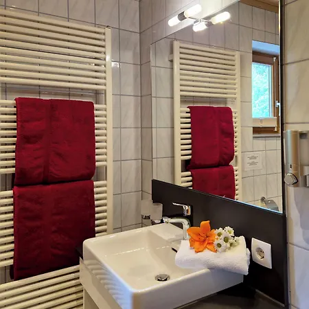 Alpenpension Gastein ゲストハウス バードガシュタイン