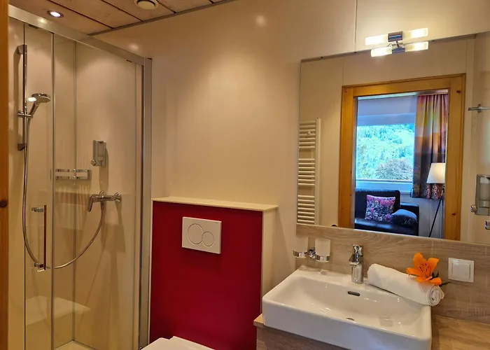 招待所 Alpenpension Gastein 巴德加斯坦