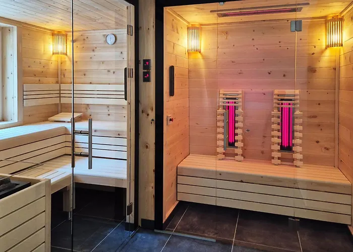 招待所 Alpenpension Gastein